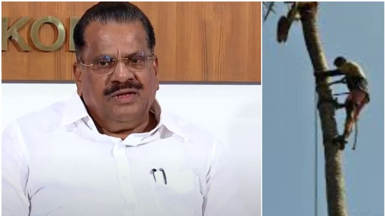 'ആ തഴമ്പ് സൗന്ദര്യശാസ്ത്ര പ്രകാരം പെണ്കുട്ടികള് ഇഷ്ടപ്പെടുന്നില്ല', തെങ്ങ് കയറാൻ ആളെ കിട്ടാത്തതിൽ ഇ പി 'ആ തഴമ്പ് സൗന്ദര്യശാസ്ത്ര പ്രകാരം പെണ്കുട്ടികള് ഇഷ്ടപ്പെടുന്നില്ല', തെങ്ങ് കയറാൻ ആളെ കിട്ടാത്തതിൽ ഇ പി