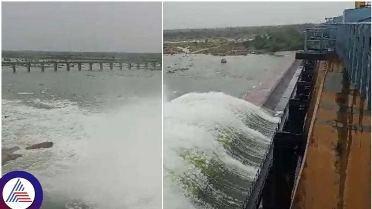 ಬತ್ತಿ ಹೋಗಿದ್ದ ಬಸವಸಾಗರ ಜಲಾಶಯಕ್ಕೆ ಬಂತು ಜೀವಕಳೆ: ಕೃಷ್ಣ ನದಿ ತೀರದಲ್ಲಿ ಪ್ರವಾಹ ಭೀತಿ ಬತ್ತಿ ಹೋಗಿದ್ದ ಬಸವಸಾಗರ ಜಲಾಶಯಕ್ಕೆ ಬಂತು ಜೀವಕಳೆ: ಕೃಷ್ಣ ನದಿ ತೀರದಲ್ಲಿ ಪ್ರವಾಹ ಭೀತಿ