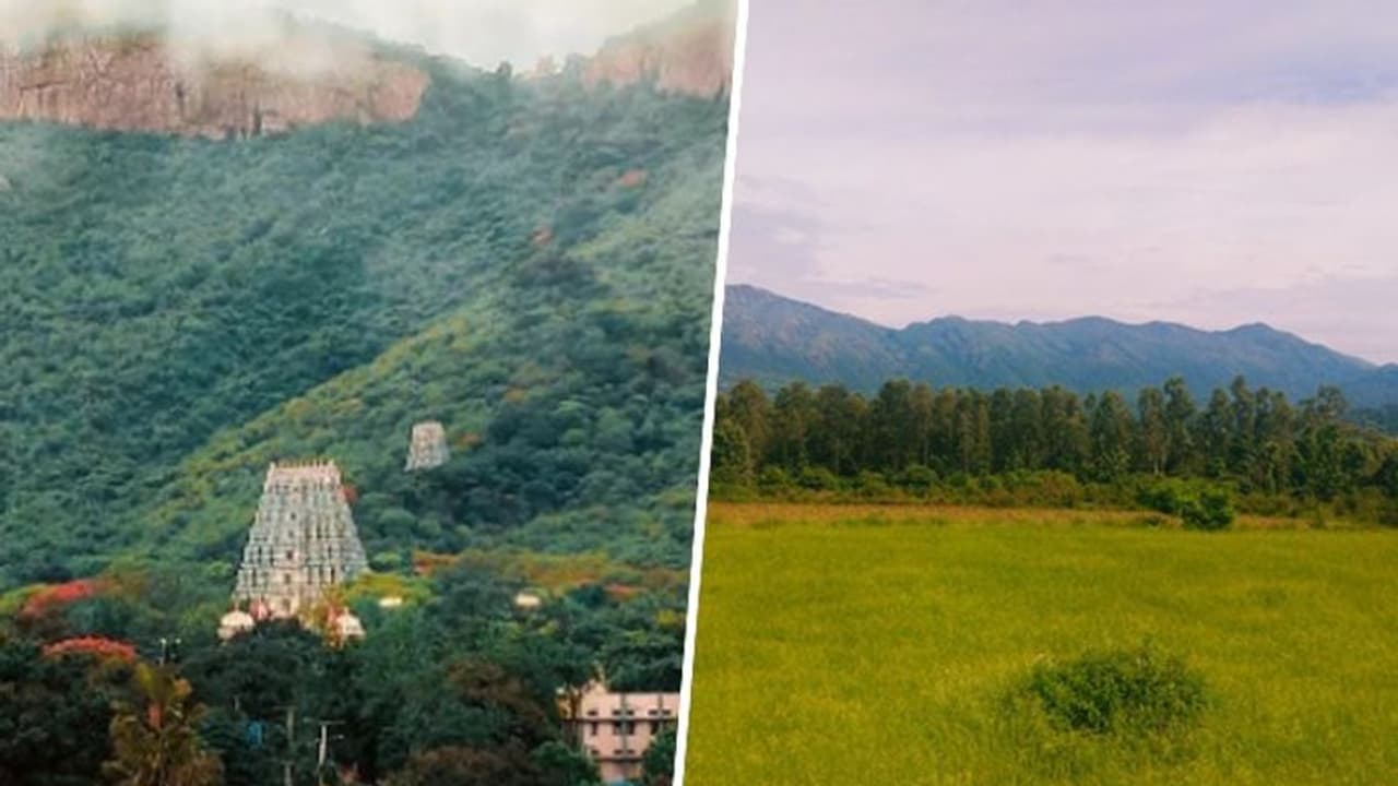 Araku Valley to Tirupati: 10 destinations to explore in Andhra Pradesh Araku Valley to Tirupati: 10 destinations to explore in Andhra Pradesh