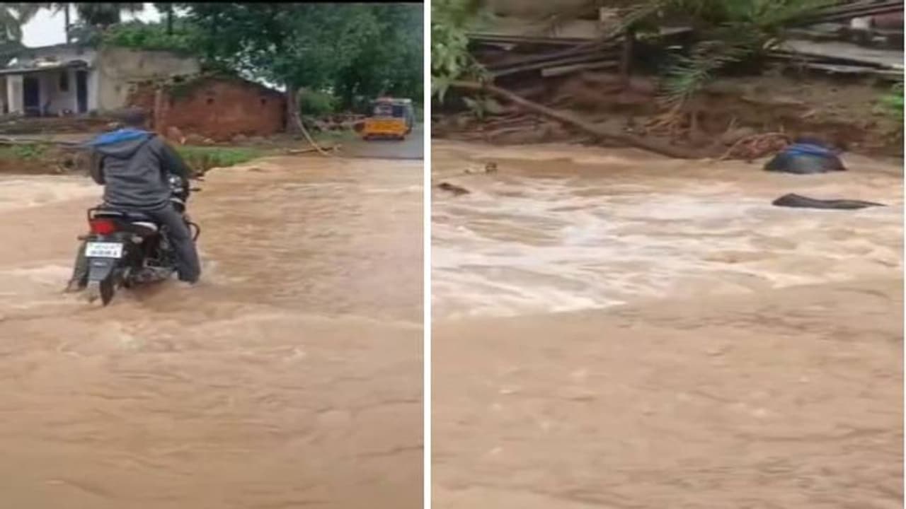 కళ్ల ముందే బైక్తో సహా కొట్టుకుపోయాడు.. చెట్టు కొమ్మతో పైకి వచ్చేద్దామనుకున్నా, చివరికి .. వీడియో వైరల్ కళ్ల ముందే బైక్తో సహా కొట్టుకుపోయాడు.. చెట్టు కొమ్మతో పైకి వచ్చేద్దామనుకున్నా, చివరికి .. వీడియో వైరల్