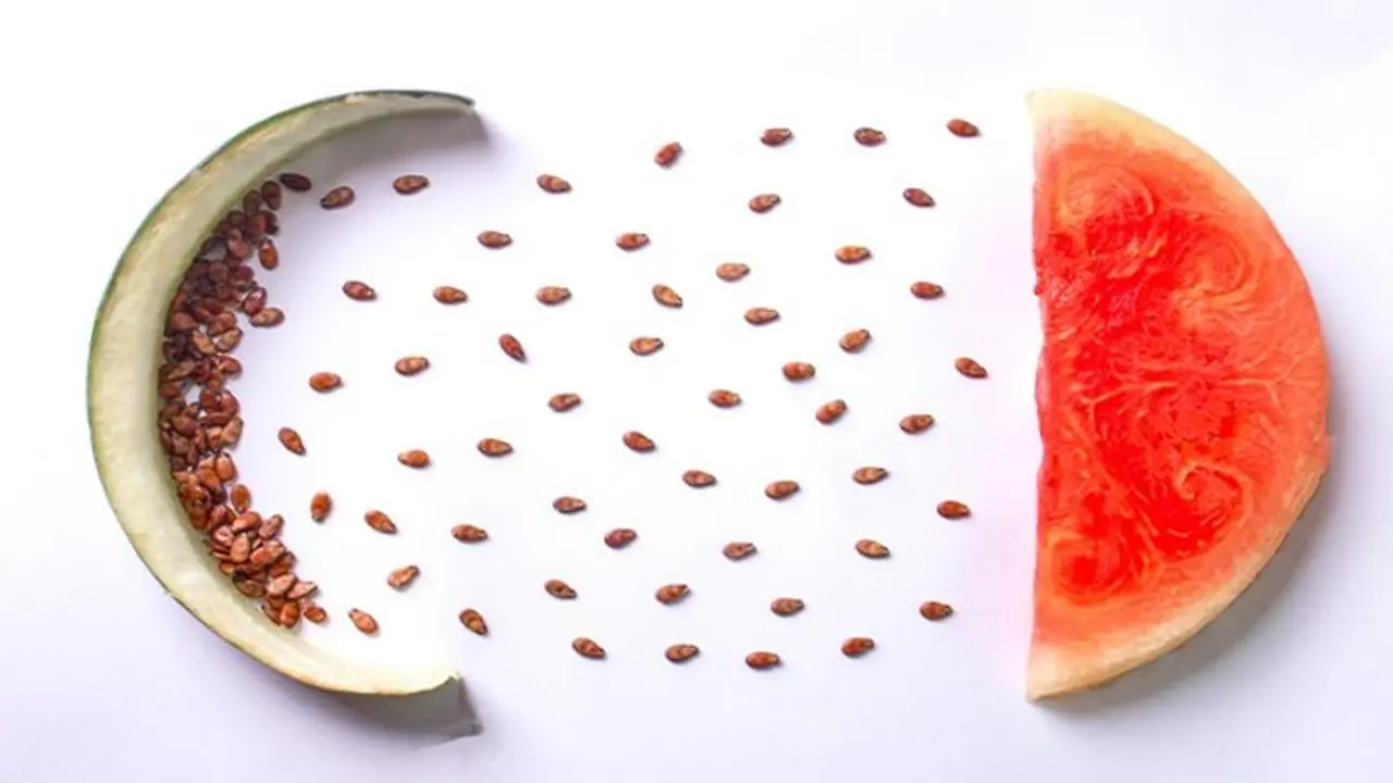 Heart health to weight management: 5 health benefits of Watermelon seeds Heart health to weight management: 5 health benefits of Watermelon seeds