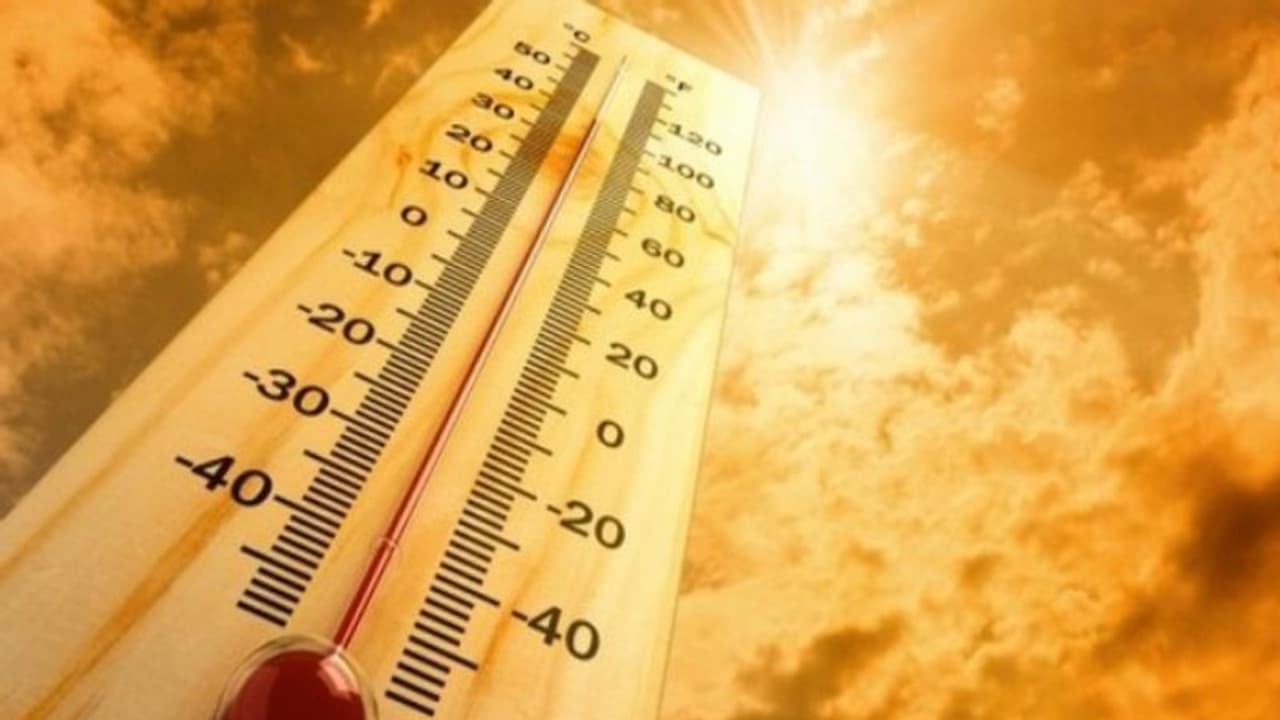 இது Global Boiling Era.. எச்சரிக்கும் ஐ.நா தலைவர்.. 1.2 லட்சம் ஆண்டுகளில் பதிவு செய்யப்பட்ட Hottest ஜூலை இது! இது Global Boiling Era.. எச்சரிக்கும் ஐ.நா தலைவர்.. 1.2 லட்சம் ஆண்டுகளில் பதிவு செய்யப்பட்ட Hottest ஜூலை இது!