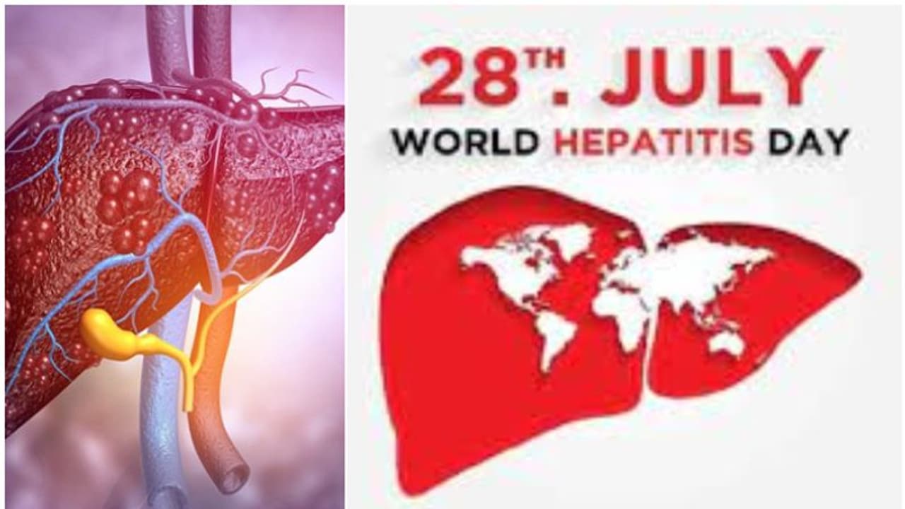 'ഒരു ജീവിതം ഒരു കരൾ': ഹെപ്പറ്റൈറ്റിസ് രണ്ടും തകർത്തേക്കാം, കരളിനെ കാക്കാൻ ജാഗ്രത വേണം; ചെയ്യേണ്ട കാര്യങ്ങൾ 'ഒരു ജീവിതം ഒരു കരൾ': ഹെപ്പറ്റൈറ്റിസ് രണ്ടും തകർത്തേക്കാം, കരളിനെ കാക്കാൻ ജാഗ്രത വേണം; ചെയ്യേണ്ട കാര്യങ്ങൾ