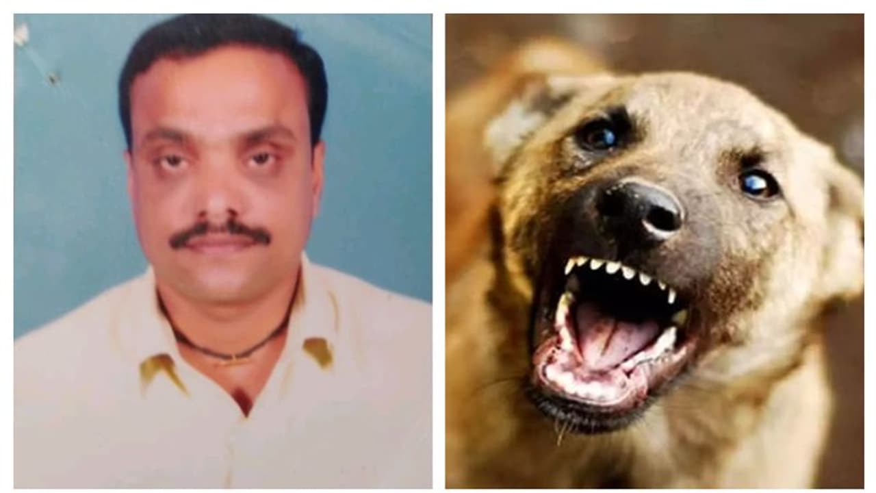 തെരുവ് നായ കുറുകെ ചാടി ഓട്ടോ മറിഞ്ഞു; ഡ്രൈവർക്ക് ദാരുണാന്ത്യം തെരുവ് നായ കുറുകെ ചാടി ഓട്ടോ മറിഞ്ഞു; ഡ്രൈവർക്ക് ദാരുണാന്ത്യം