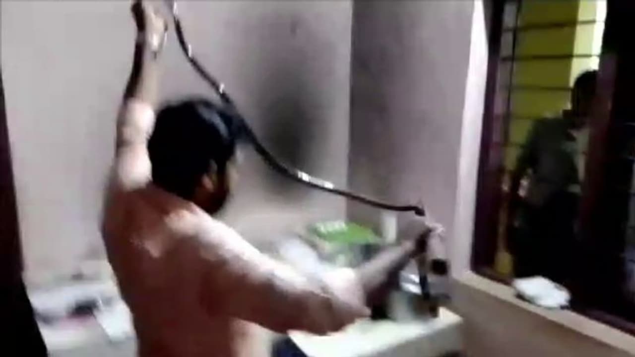 അങ്കണവാടിയിലെ അടുക്കളയിലെ പാല് പാത്രത്തിനടുത്ത് 'ഭീകരന്'; 'മഴ' മൂലം ഒഴിവായത് വന്ദുരന്തം അങ്കണവാടിയിലെ അടുക്കളയിലെ പാല് പാത്രത്തിനടുത്ത് 'ഭീകരന്'; 'മഴ' മൂലം ഒഴിവായത് വന്ദുരന്തം