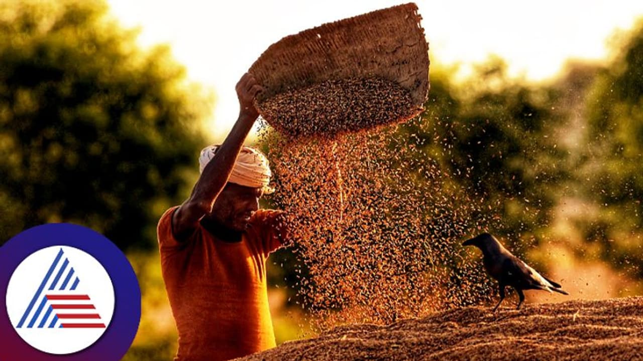 விவசாய ஏற்றுமதி 26.7 பில்லியன் அமெரிக்க டாலராக உயர்வு: மத்திய அரசு! விவசாய ஏற்றுமதி 26.7 பில்லியன் அமெரிக்க டாலராக உயர்வு: மத்திய அரசு!