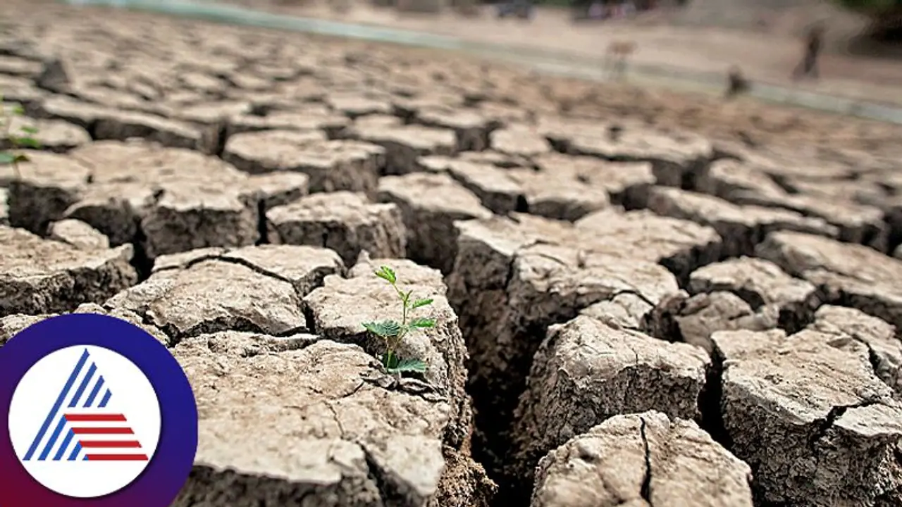 Karnataka cabinet seeks Rs 5,326 crore for drought relief from Centre 