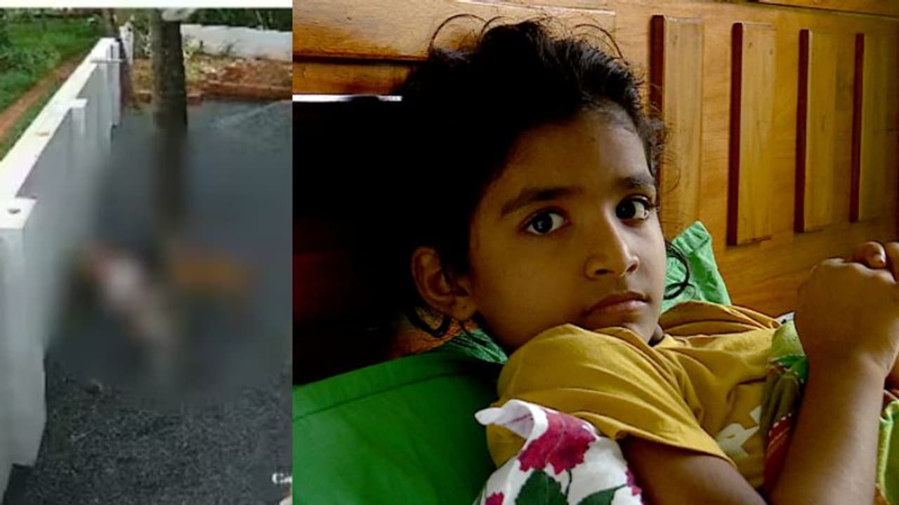 'കഥയിലെ നായ നല്ലതാണ്, ബില്ലൂനെ പോലെ ആകണം നായകൾ'; രണ്ടാം ജന്മത്തേക്കുറിച്ച് ജാൻവിയ