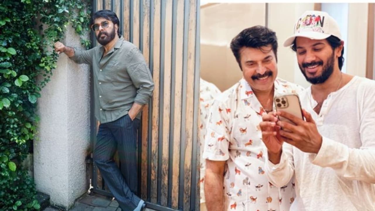 '37ാം പിറന്നാള് ആഘോഷിക്കുന്ന ചെക്കന്റെ വാപ്പച്ചി'; ഫോട്ടോയുമായി മമ്മൂട്ടി, ഏറ്റെടുത്ത് ആരാധകര് '37ാം പിറന്നാള് ആഘോഷിക്കുന്ന ചെക്കന്റെ വാപ്പച്ചി'; ഫോട്ടോയുമായി മമ്മൂട്ടി, ഏറ്റെടുത്ത് ആരാധകര്