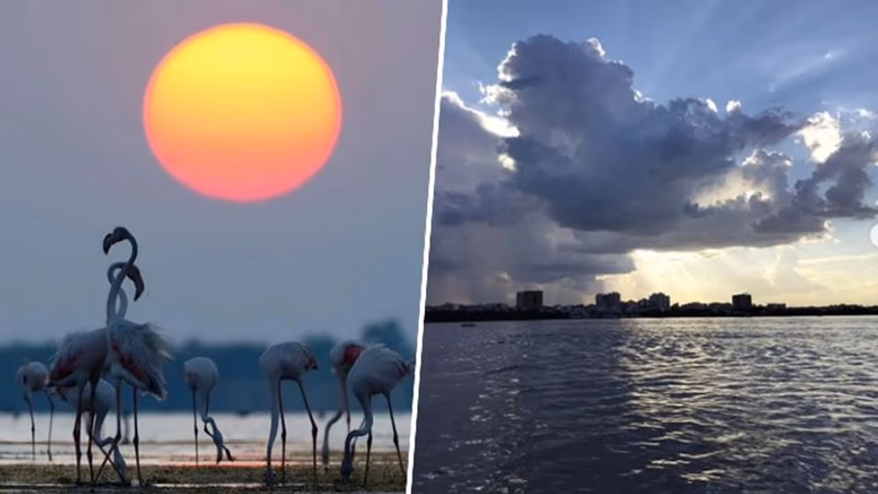 Hussain Sagar to Lake Pulicat: 7 serene lakes in Andhra Pradesh for nature lovers