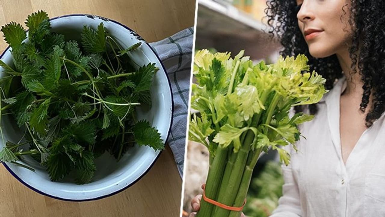 Improved digestion to heart health: 7 health benefits of Celery Improved digestion to heart health: 7 health benefits of Celery