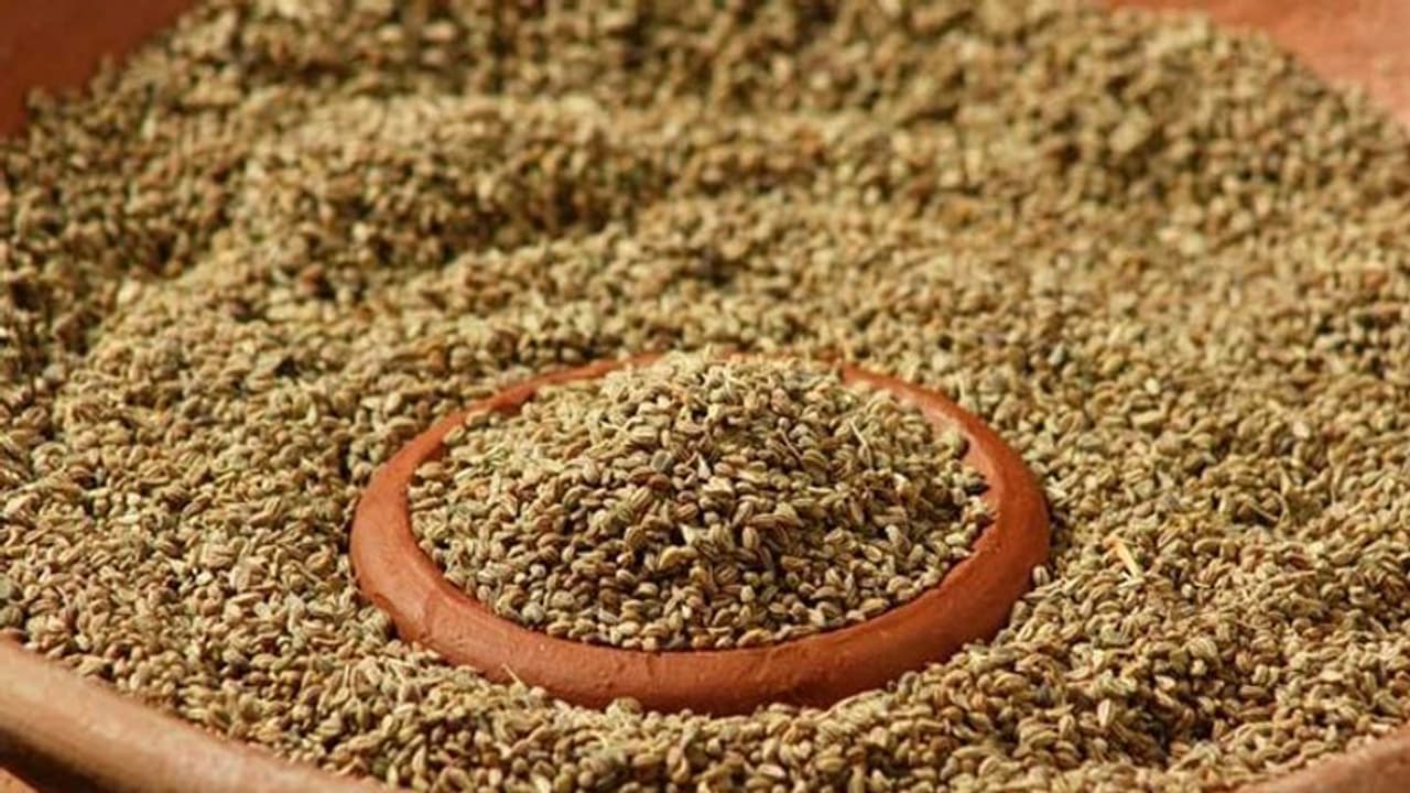 Weight Loss: 5 surprising benefits of Carom Water Weight Loss: 5 surprising benefits of Carom Water