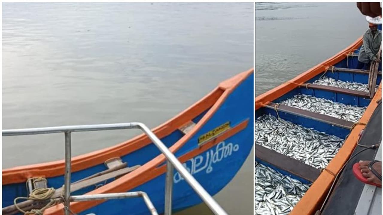 അഴീക്കോട് തീരത്ത് 'കിലുക്കം' വള്ളത്തിൽ ഫിഷറീസ് ഉദ്യോഗസ്ഥരുടെ പരിശോധന, കണ്ടെത്തിയ ചെറുമീനുകൾക്ക് രക്ഷ! അഴീക്കോട് തീരത്ത് 'കിലുക്കം' വള്ളത്തിൽ ഫിഷറീസ് ഉദ്യോഗസ്ഥരുടെ പരിശോധന, കണ്ടെത്തിയ ചെറുമീനുകൾക്ക് രക്ഷ!