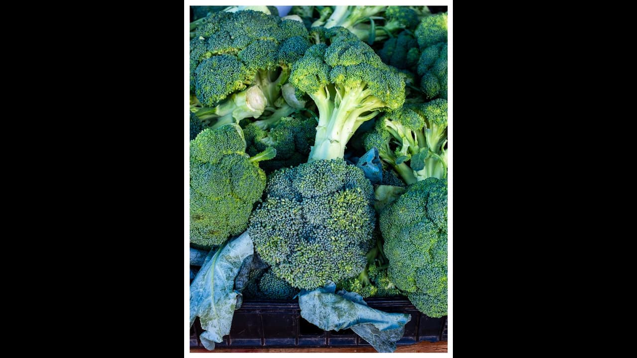 Health Tips : ബ്രൊക്കോളി ഭക്ഷണത്തിൽ ഉൾപ്പെടുത്തൂ, നിരവധിയാണ് ആരോഗ്യഗുണങ്ങൾ Health Tips : ബ്രൊക്കോളി ഭക്ഷണത്തിൽ ഉൾപ്പെടുത്തൂ, നിരവധിയാണ് ആരോഗ്യഗുണങ്ങൾ