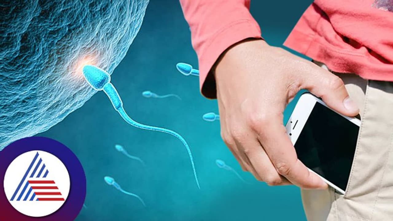 ಪುರುಷರು ಪ್ಯಾಂಟಿನ ಮುಂದಿನ ಜೇಬಲ್ಲಿ ಮೊಬೈಲ್ ಇಟ್ಕೊಂಡ್ರೆ ವೀರ್ಯಕ್ಕೆ ಸಮಸ್ಯೆಯಾಗುತ್ತಾ? ಪುರುಷರು ಪ್ಯಾಂಟಿನ ಮುಂದಿನ ಜೇಬಲ್ಲಿ ಮೊಬೈಲ್ ಇಟ್ಕೊಂಡ್ರೆ ವೀರ್ಯಕ್ಕೆ ಸಮಸ್ಯೆಯಾಗುತ್ತಾ?