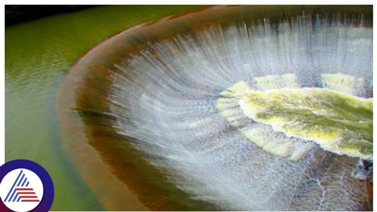 Bored with trekking? Soak in this mini Niagara in Coorg Bored with trekking? Soak in this mini Niagara in Coorg