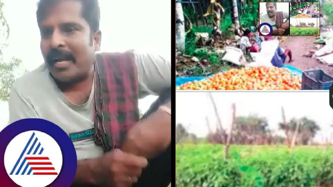 ತರಕಾರಿ ಬೆಳೆದ ಲಾಭದಿಂದಲೇ ಜಮೀನು ಖರೀದಿಸಿ ಸಾಧನೆ ಮಾಡಿದ ದೈಹಿಕ ಶಿಕ್ಷಕ ಜಯಪ್ಪ!