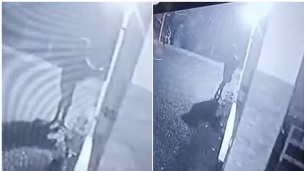 കണ്ണൂരിലെ 'ബ്ലാക്ക് മാൻ' സിസി ടിവിയിൽ; ഇത്തവണ പുതിയ 'ഭയപ്പെടുത്തൽ' രീതികൾ കണ്ണൂരിലെ 'ബ്ലാക്ക് മാൻ' സിസി ടിവിയിൽ; ഇത്തവണ പുതിയ 'ഭയപ്പെടുത്തൽ' രീതികൾ