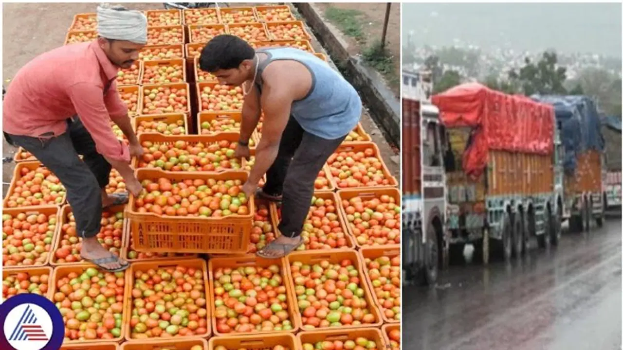 ಟೊಮೆಟೊ ತುಂಬಿಕೊಂಡು ಕೋಲಾರದಿಂದ ರಾಜಸ್ಥಾನಕ್ಕೆ ಹೊರಟಿದ್ದ ಲಾರಿ ನಾಪತ್ತೆ: ರೈತರು ಕಂಗಾಲು ಟೊಮೆಟೊ ತುಂಬಿಕೊಂಡು ಕೋಲಾರದಿಂದ ರಾಜಸ್ಥಾನಕ್ಕೆ ಹೊರಟಿದ್ದ ಲಾರಿ ನಾಪತ್ತೆ: ರೈತರು ಕಂಗಾಲು
