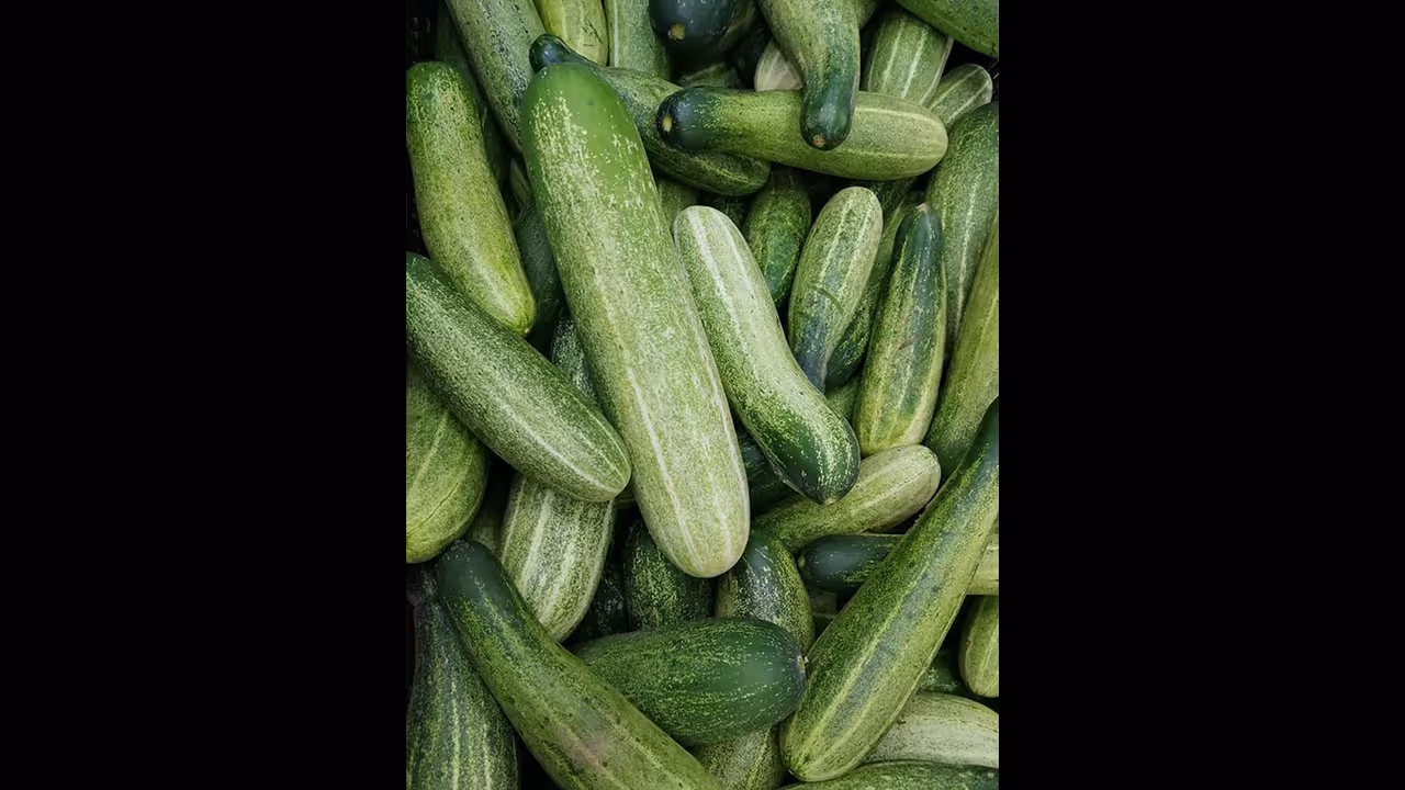 സാലഡ് വെള്ളരിയിൽ സാൽമൊണല്ല ബാക്ടീരിയ സാന്നിധ്യം, ആശുപത്രിയിലായി 162 പേർ, തിരികെ വിളിച്ച് അമേരിക്ക