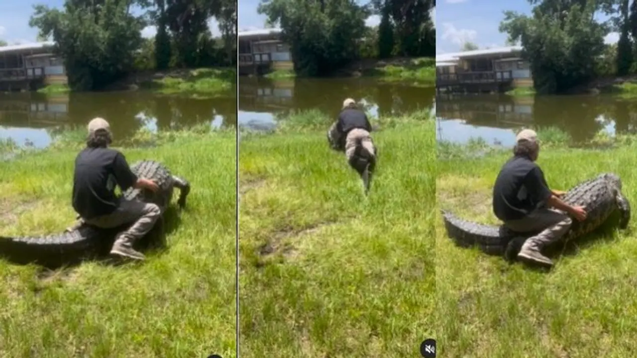 ಇವನಿಗೇನ್ ಬಂತ್ ನೋಡಿ : ಮೊಸಳೆಯ ಮೇಲೆ ವ್ಯಕ್ತಿಯ ಜಾಲಿ ರೈಡ್: ವೈರಲ್ ವೀಡಿಯೋ