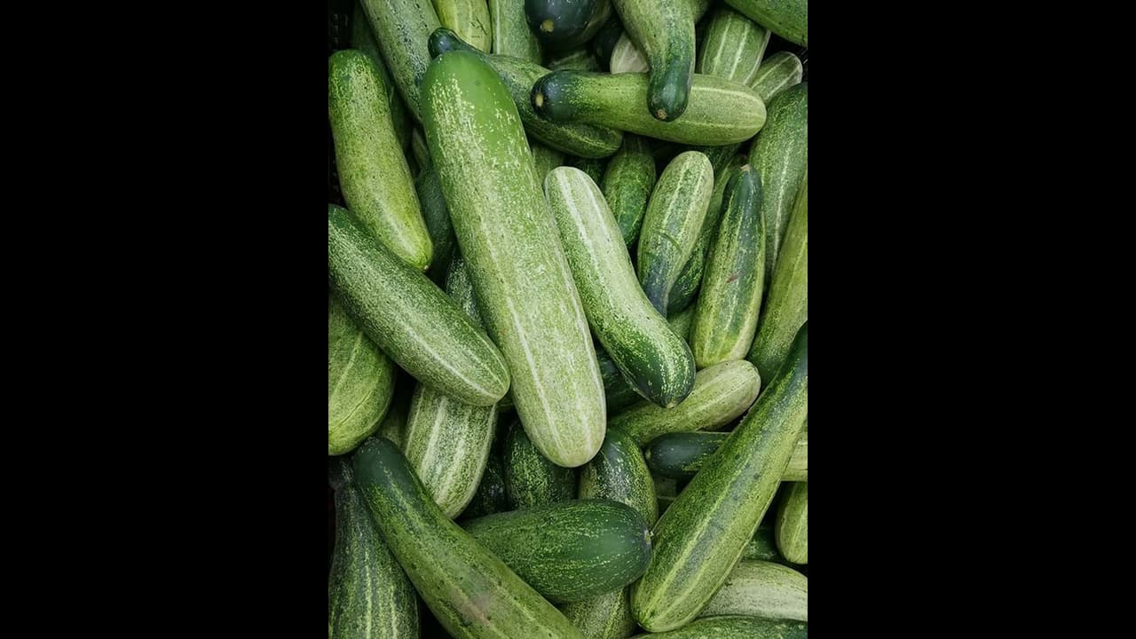 വേനല്‍ച്ചൂടില്‍‌ വെള്ളരിക്ക കഴിക്കൂ; അറിയാം ഈ ഗുണങ്ങള്‍... 