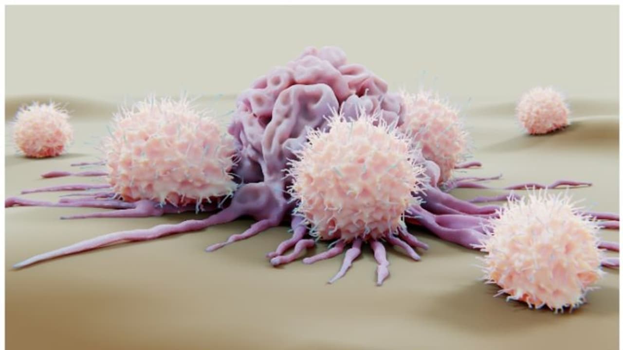 അമിതവണ്ണം ഈ കാൻസറിനുള്ള സാധ്യത വർദ്ധിപ്പിക്കുന്നു ; ആരോ​ഗ്യകരമായ ജീവിതശെെലി പിന്തുടരണമെന്ന് ആരോ​ഗ്യവിദ​ഗ്ധർ