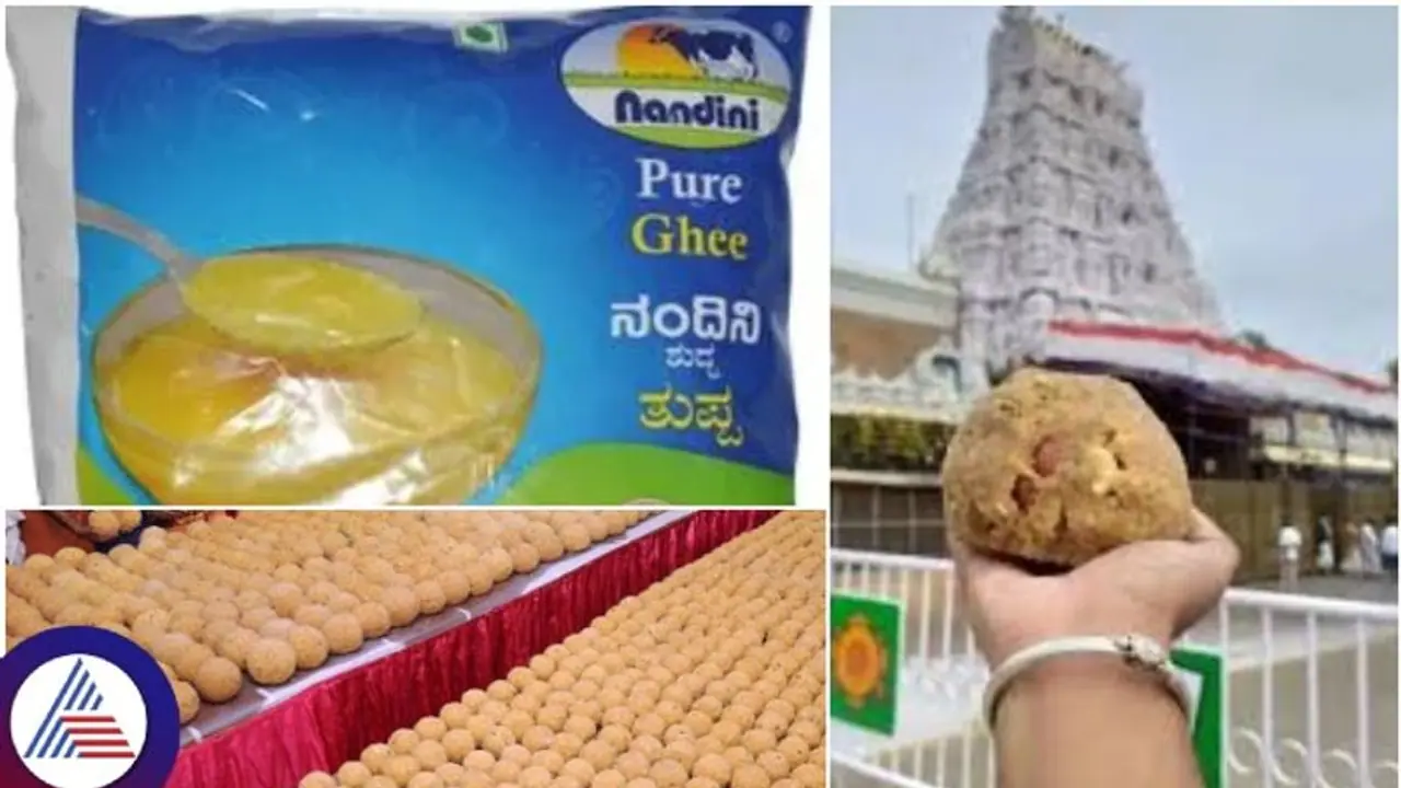 ತಿರುಪತಿ ಲಡ್ಡು ತಯಾರಿಕೆಗೆ ನಂದಿನಿ ತುಪ್ಪ ಪೂರೈಕೆ ಸ್ಥಗಿತ: ಕಾರಣ ಬಿಚ್ಚಿಟ್ಟ ಕೆಎಂಎಫ್‌