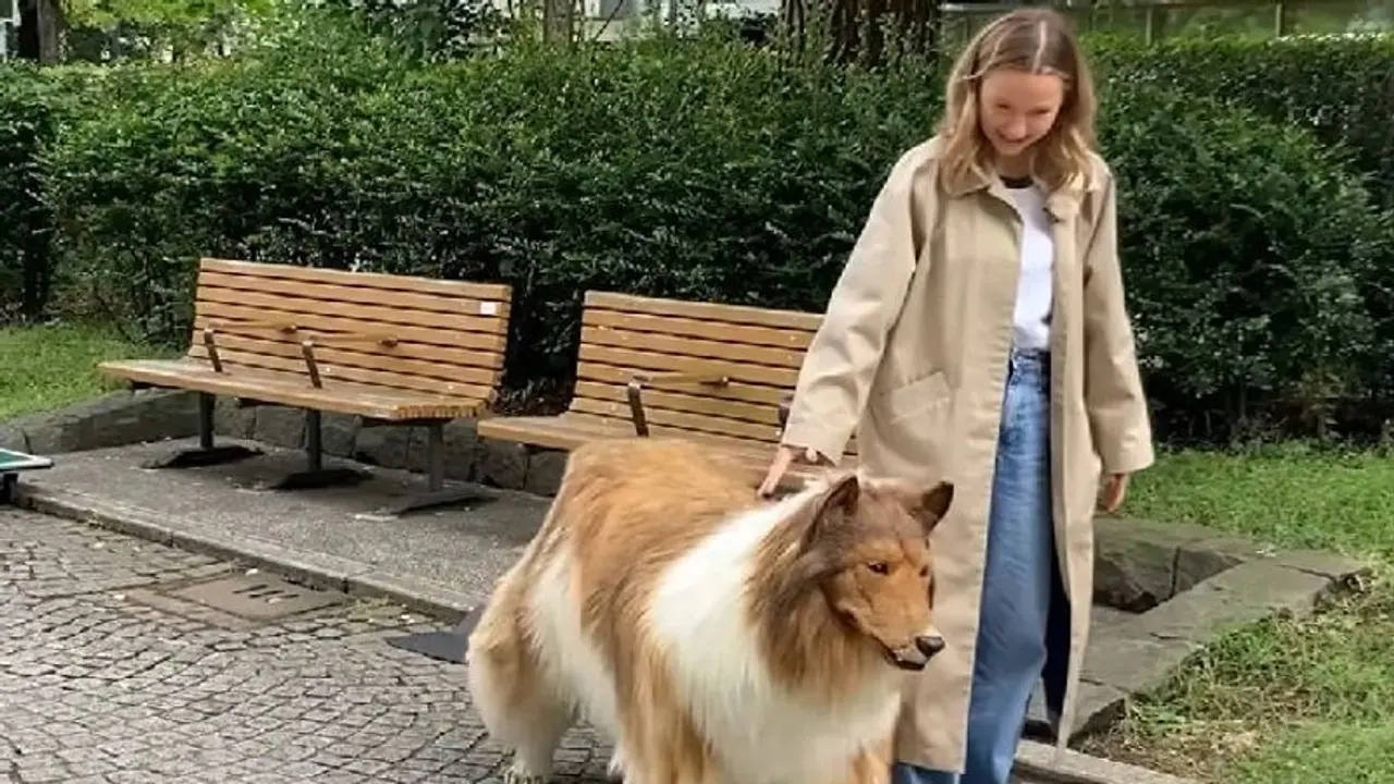 Japanese man who transformed into a dog with Rs 12 lakh collie costume takes his 1st walk in public (WATCH) Japanese man who transformed into a dog with Rs 12 lakh collie costume takes his 1st walk in public (WATCH)
