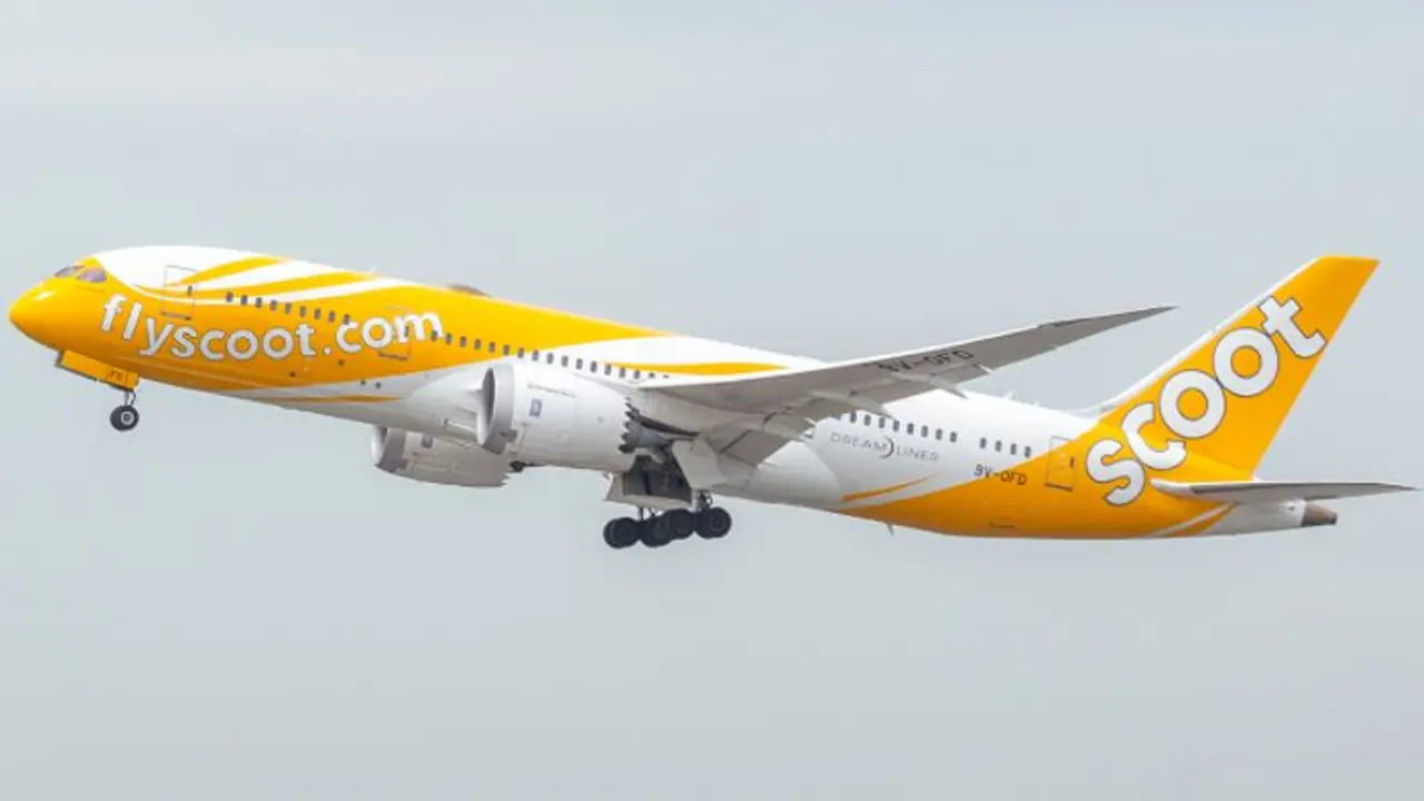 எளிமையாகும் பயணம்.. சென்னை சிங்கப்பூர் வழித்தடத்தில் புதிய சேவை ஸ்கூட் ஏர்லைன்ஸ் அறிவிப்பு! எளிமையாகும் பயணம்.. சென்னை சிங்கப்பூர் வழித்தடத்தில் புதிய சேவை ஸ்கூட் ஏர்லைன்ஸ் அறிவிப்பு!