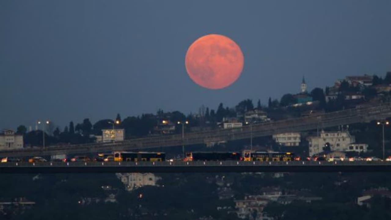 Rare Blue Supermoon 2024: What to expect, where will the event be visible; Check details
