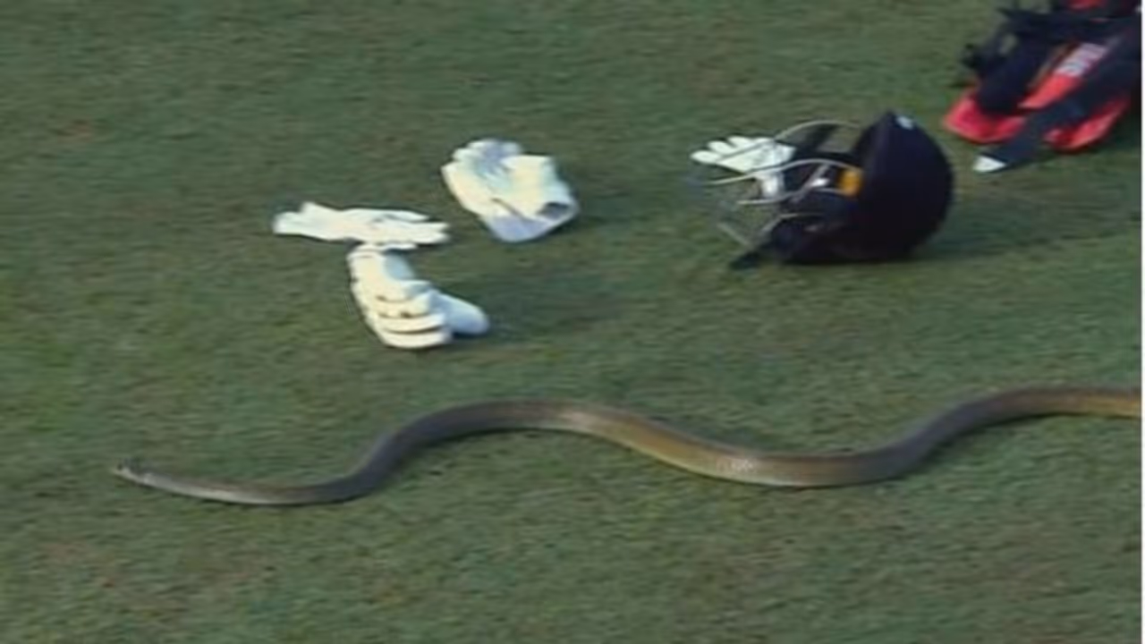 LPL 2023: ఉత్కంఠ పోరులో ఊహించిన పరిమాణం.. అనుకోని అతిథి రాకతో ఆగిపోయిన మ్యాచ్.. అసలేం జరిగిందంటే..? 