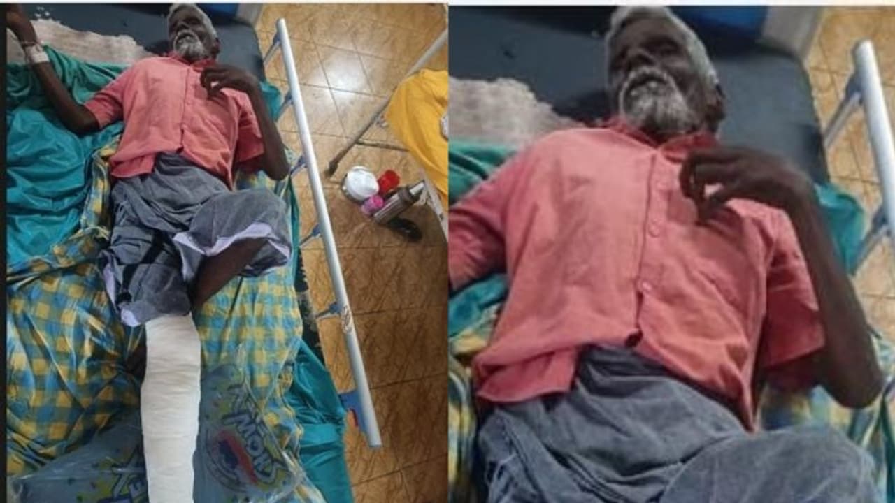 കേള്വിക്കുറവുള്ളതിനാല് ആന എത്തിയത് അറിഞ്ഞില്ല; കാട്ടാനയുടെ ആക്രമണത്തില് വയോധികന് പരിക്ക് കേള്വിക്കുറവുള്ളതിനാല് ആന എത്തിയത് അറിഞ്ഞില്ല; കാട്ടാനയുടെ ആക്രമണത്തില് വയോധികന് പരിക്ക്