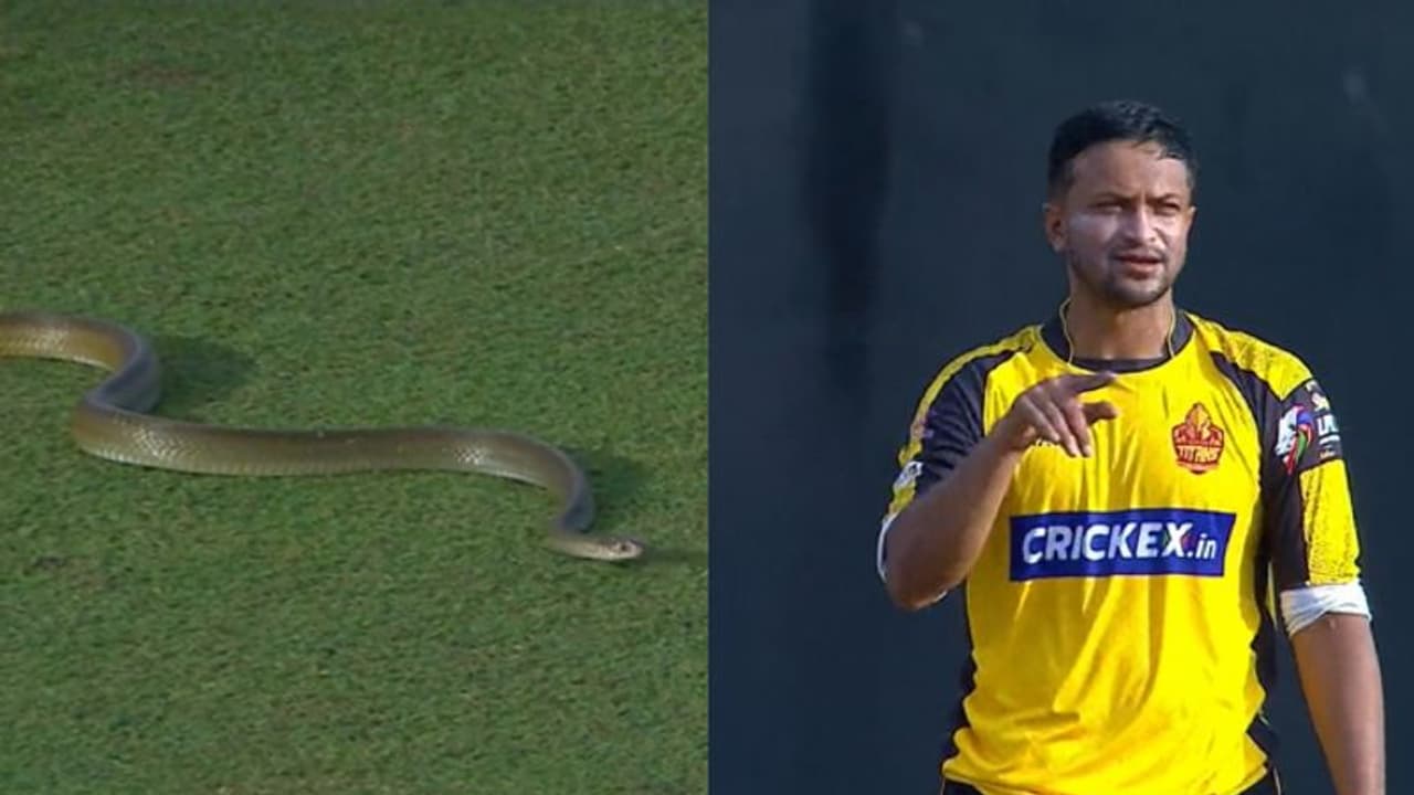 ഷാക്കിബ് അല് ഹസന് പന്തെറിയുന്നതിനിടെ ഗ്രൗണ്ടില് പാമ്പിറങ്ങി, ബംഗ്ലാദേശിനെ ട്രോളി ദിനേശ് കാര്ത്തിക് വീഡിയോ ഷാക്കിബ് അല് ഹസന് പന്തെറിയുന്നതിനിടെ ഗ്രൗണ്ടില് പാമ്പിറങ്ങി, ബംഗ്ലാദേശിനെ ട്രോളി ദിനേശ് കാര്ത്തിക് വീഡിയോ