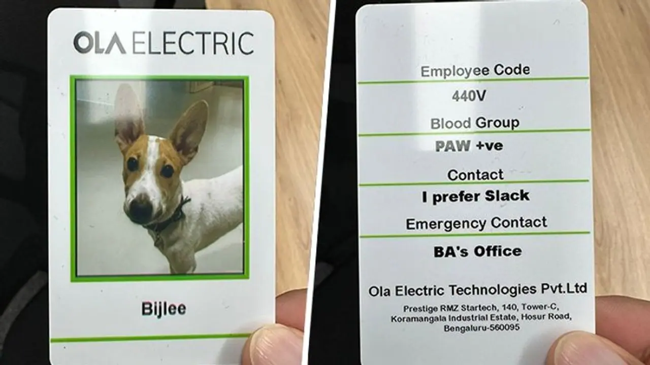 Meet 'Bijlee': Ola Electric introduces newest ‘paw sitive’ addition to its company
