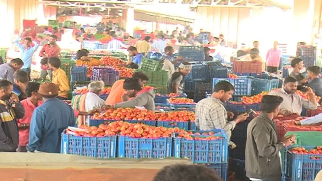 ಚಿಕ್ಕಮಗಳೂರು: 3 ಲಕ್ಷ ಬಂಡವಾಳ ಹಾಕಿ 30 ಲಕ್ಷದ ಒಡೆಯನಾದ ರೈತ..! ಚಿಕ್ಕಮಗಳೂರು: 3 ಲಕ್ಷ ಬಂಡವಾಳ ಹಾಕಿ 30 ಲಕ್ಷದ ಒಡೆಯನಾದ ರೈತ..!