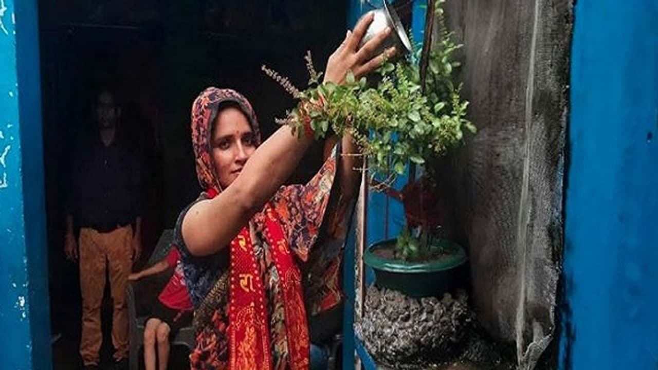 ഗുജറാത്തിൽ നിന്ന് ദില്ലിയിലെത്തി, സീമാ ഹൈദറിന്റെ വീട്ടിൽ അതിക്രമിച്ചുകയറി യുവാവ്, കാരണം കേട്ട് ഞെട്ടി പൊലീസ്! ഗുജറാത്തിൽ നിന്ന് ദില്ലിയിലെത്തി, സീമാ ഹൈദറിന്റെ വീട്ടിൽ അതിക്രമിച്ചുകയറി യുവാവ്, കാരണം കേട്ട് ഞെട്ടി പൊലീസ്!