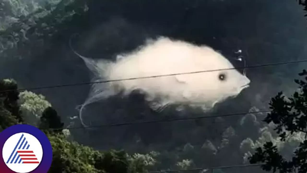 ಫೋಟೋದಲ್ಲಿ ನಿಮಗೇನ್ ಕಾಣುತ್ತೆ ಅನ್ನೋದು ನಿಮ್ ಲವ್‌ ಲೈಫ್ ಹೇಗಿರುತ್ತೆ ಅನ್ನೋದನ್ನು ತಿಳಿಸುತ್ತೆ