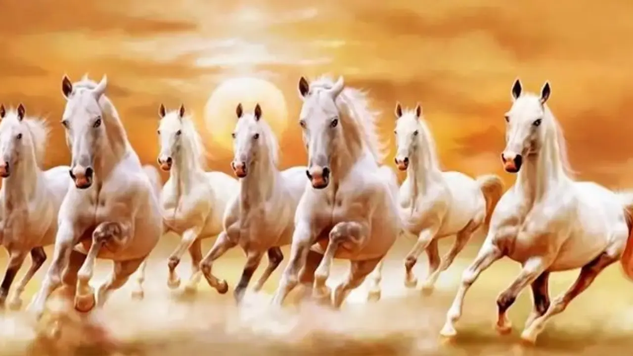 ಅದೃಷ್ಟ ತರುತ್ತಾ ಈ ಚಿತ್ರಗಳು..ಏನನ್ನತ್ತೆ ವಾಸ್ತು ಶಾಸ್ತ್ರ?