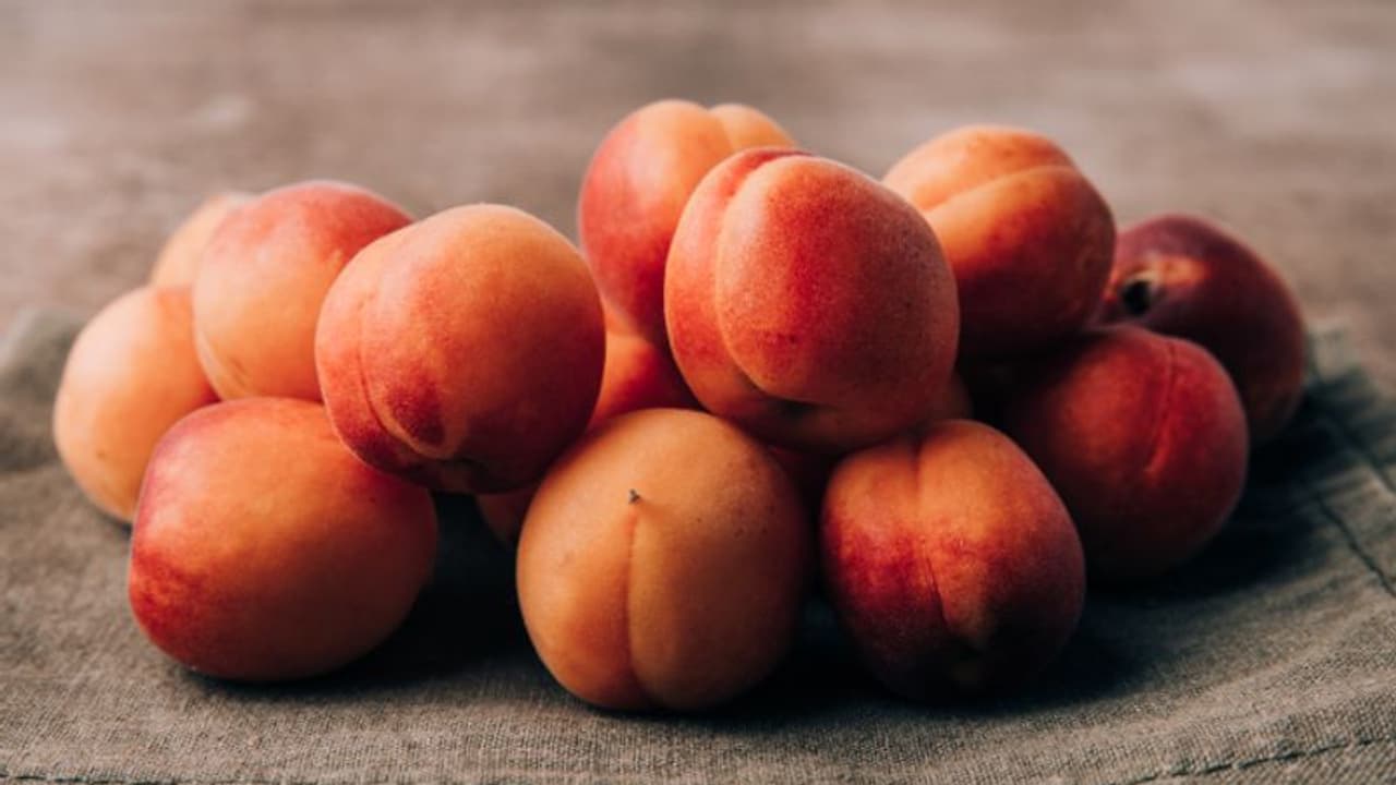 കണ്ണ് മുതല് കരളിന്റെ ആരോഗ്യം വരെ; അറിയാം ആപ്രിക്കോട്ടിന്റെ ഗുണങ്ങള്... കണ്ണ് മുതല് കരളിന്റെ ആരോഗ്യം വരെ; അറിയാം ആപ്രിക്കോട്ടിന്റെ ഗുണങ്ങള്...