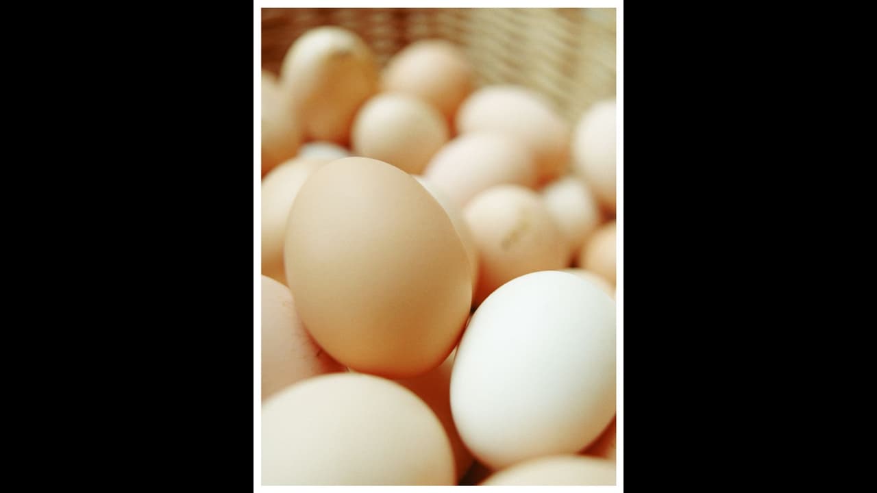 உக்ரைனில் இருந்து இறக்குமதி செய்யப்பட்ட முட்டைகளை திரும்பப் பெறும் சிங்கப்பூர்: காரணம் என்ன?