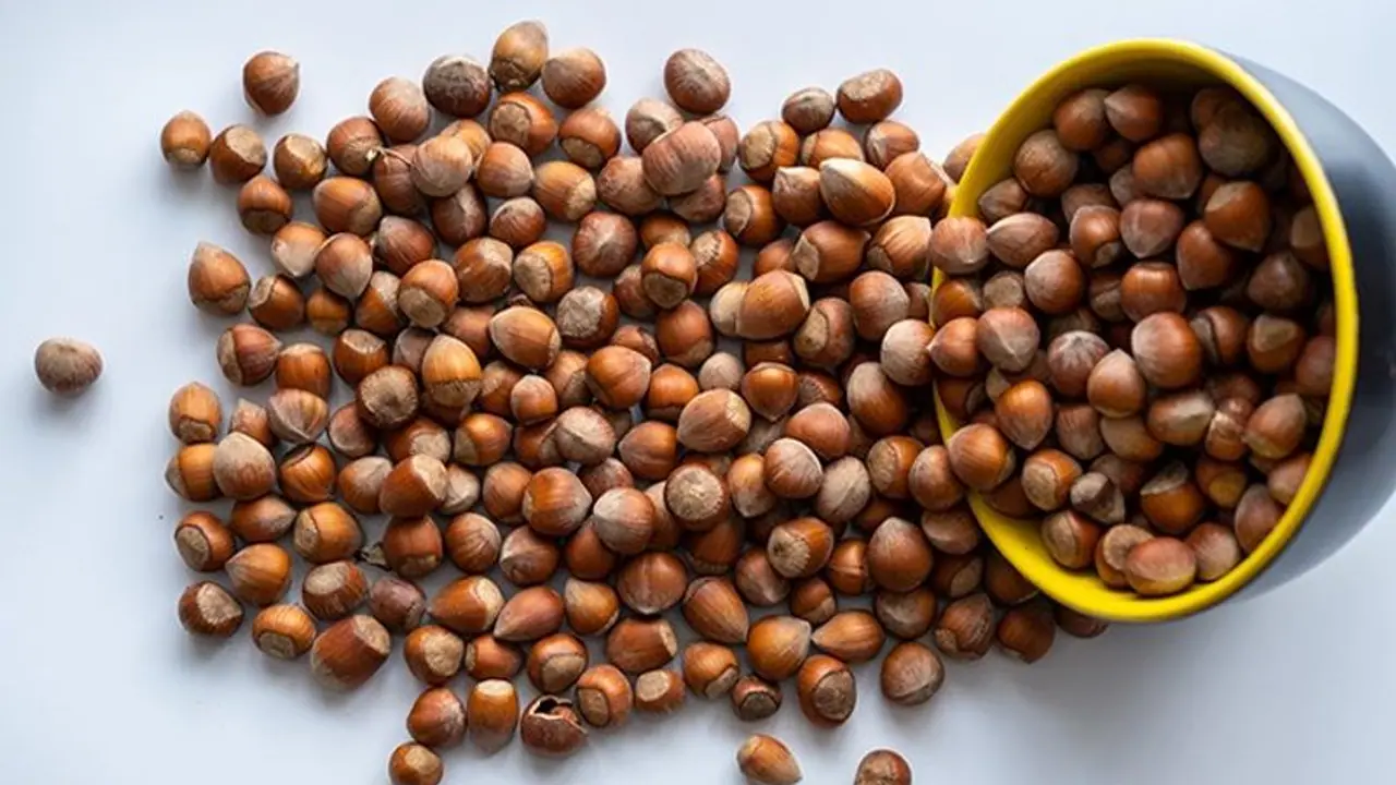 Antioxidant to nutrient powerhouse: 5 benefits of Hazelnuts Antioxidant to nutrient powerhouse: 5 benefits of Hazelnuts
