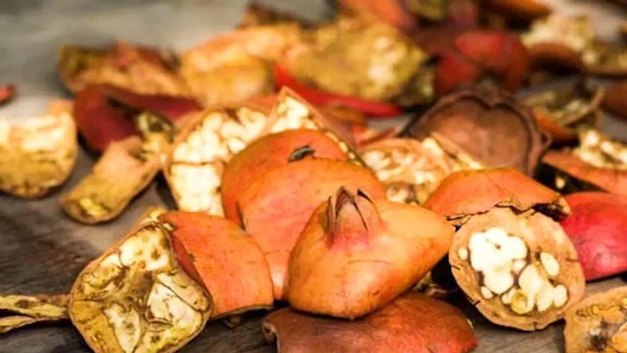 5 incredible benefits of Pomegranate Peels for Sore Throat 5 incredible benefits of Pomegranate Peels for Sore Throat