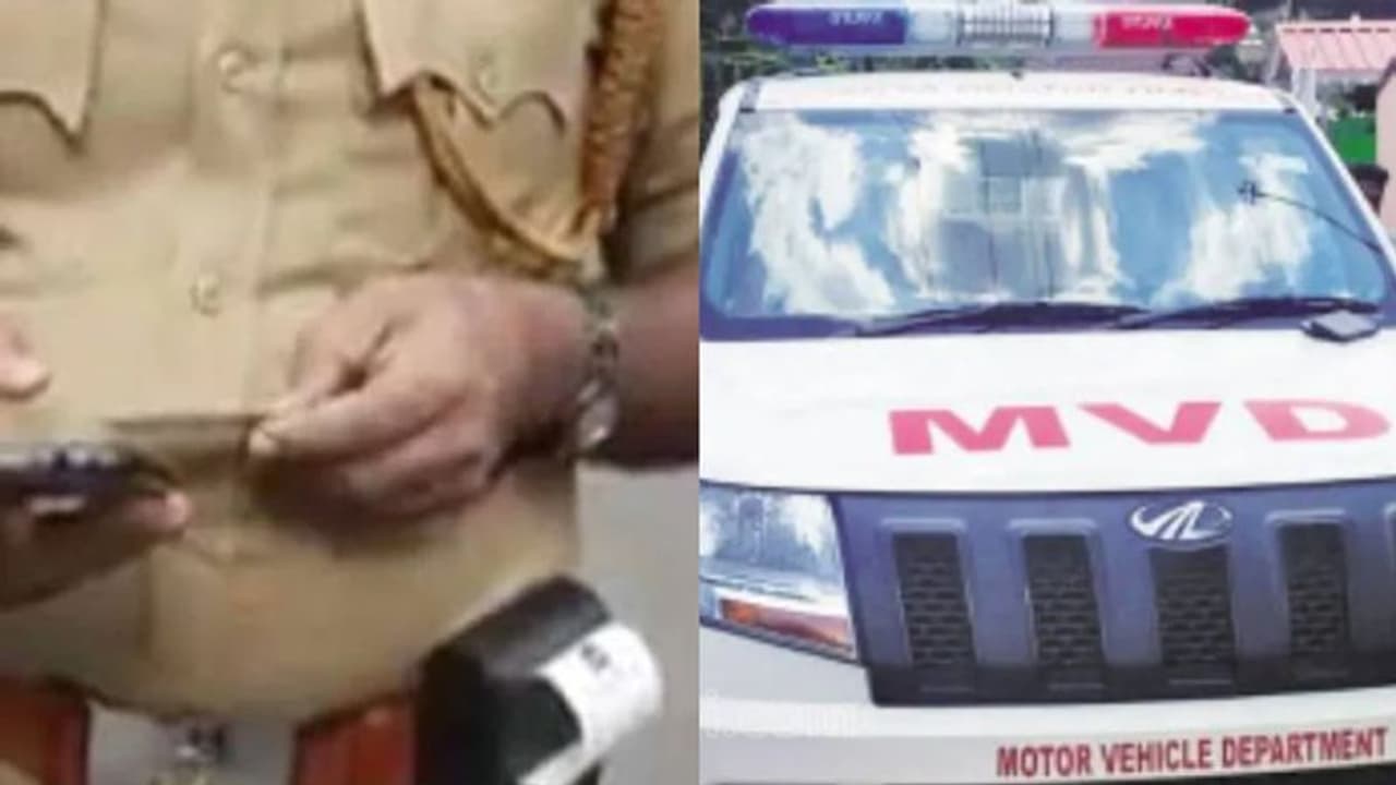 പൾസർ ബൈക്ക്, ഒറ്റനോട്ടത്തിൽ സംശയമൊന്നും തോന്നില്ല, പക്ഷേ നമ്പർ പരിശോധനയിൽ കണ്ടത് എൻഫീൽഡ്; ശേഷം സംഭവിച്ചത്! പൾസർ ബൈക്ക്, ഒറ്റനോട്ടത്തിൽ സംശയമൊന്നും തോന്നില്ല, പക്ഷേ നമ്പർ പരിശോധനയിൽ കണ്ടത് എൻഫീൽഡ്; ശേഷം സംഭവിച്ചത്!