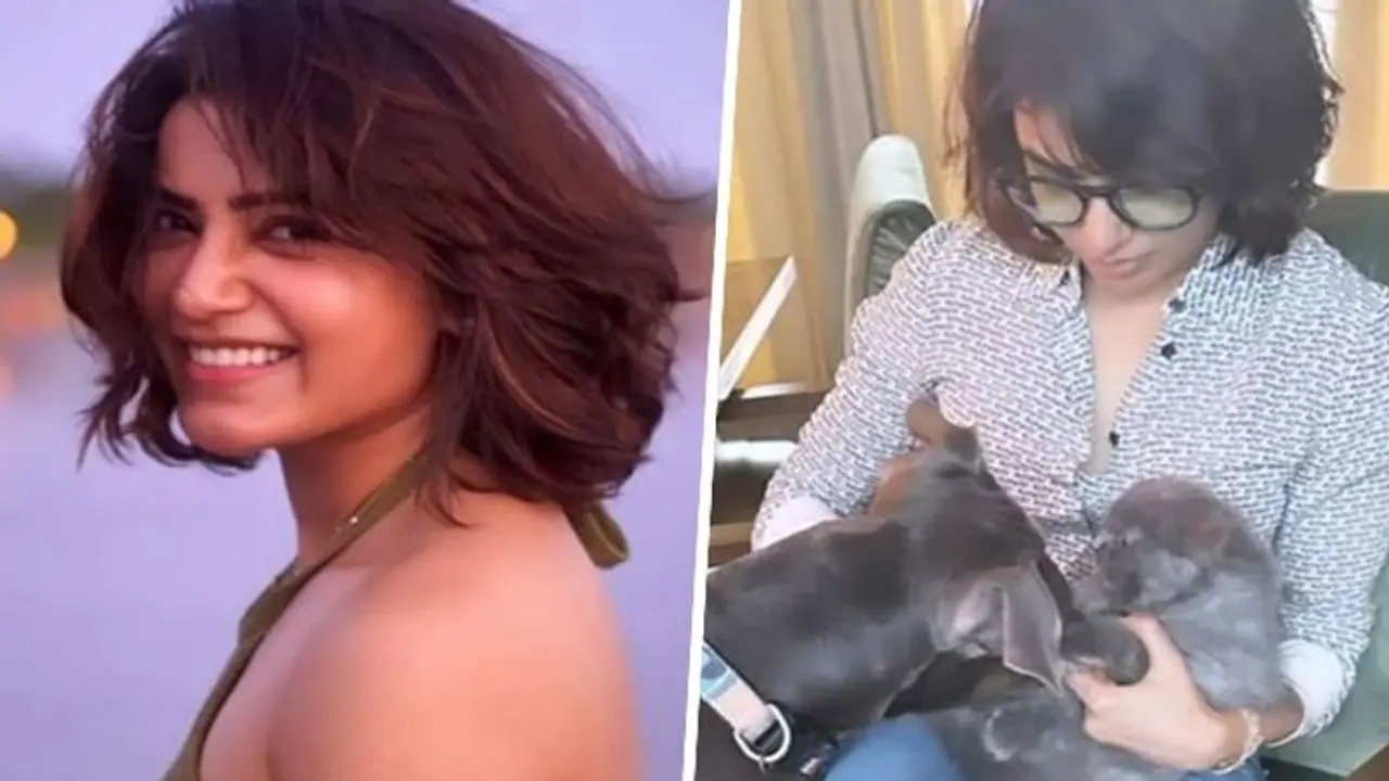 Samantha Ruth Prabhu turns peacemaker for her dog and kitten; netizens are in awe Samantha Ruth Prabhu turns peacemaker for her dog and kitten; netizens are in awe