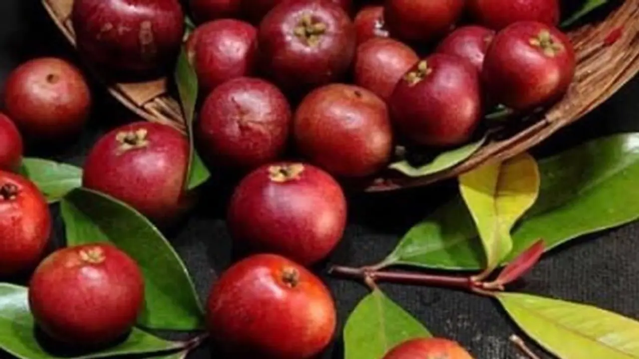 Aiding in digestion to Weight management: health benefits of Kokum fruit Aiding in digestion to Weight management: health benefits of Kokum fruit