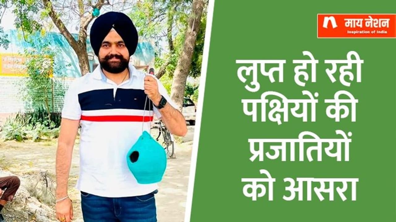 30 हजार बर्ड्स हाउस लगा चुके हैं फरीदकोट के गुरप्रीत सिंह, नतीजा- फिर नजर आने लगे 14 प्रजातियों के पक्षी