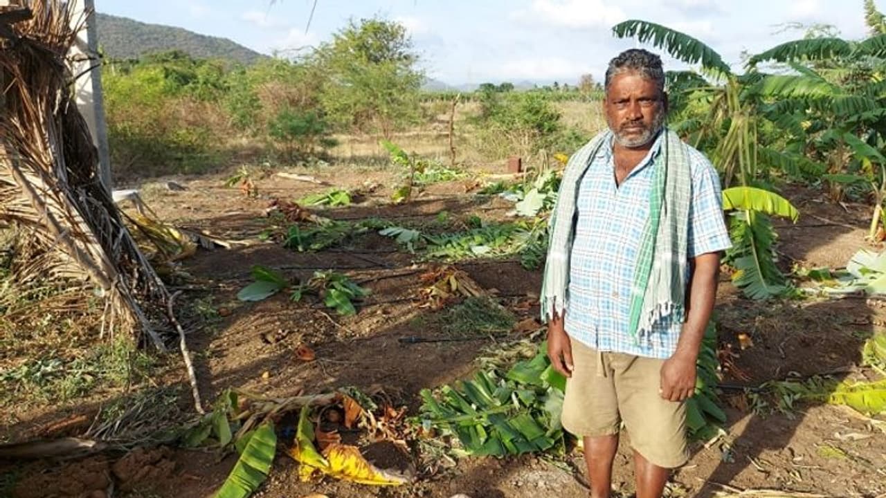 ಚಾಮರಾಜನಗರ: ಕಾಡಾನೆಗಳಿಂದ ಫಸಲು ನಾಶ, ಕಂಗಾಲಾದ ಅನ್ನದಾತ..! ಚಾಮರಾಜನಗರ: ಕಾಡಾನೆಗಳಿಂದ ಫಸಲು ನಾಶ, ಕಂಗಾಲಾದ ಅನ್ನದಾತ..!