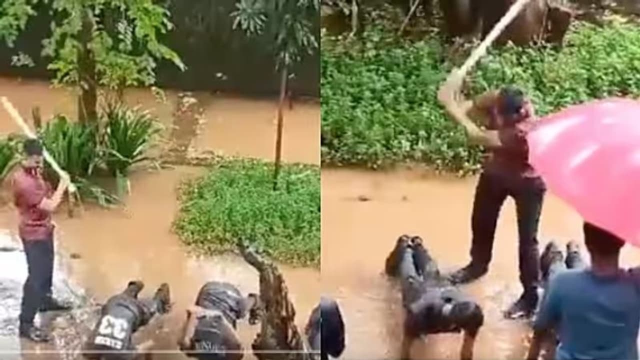 NCC Cadets: என்சிசி வீரர்களை தாக்கிய மாணவர் இடைநீக்கம்; வீடியோ வைரலான நிலையில் கல்லூரி நடவடிக்கை! NCC Cadets: என்சிசி வீரர்களை தாக்கிய மாணவர் இடைநீக்கம்; வீடியோ வைரலான நிலையில் கல்லூரி நடவடிக்கை!