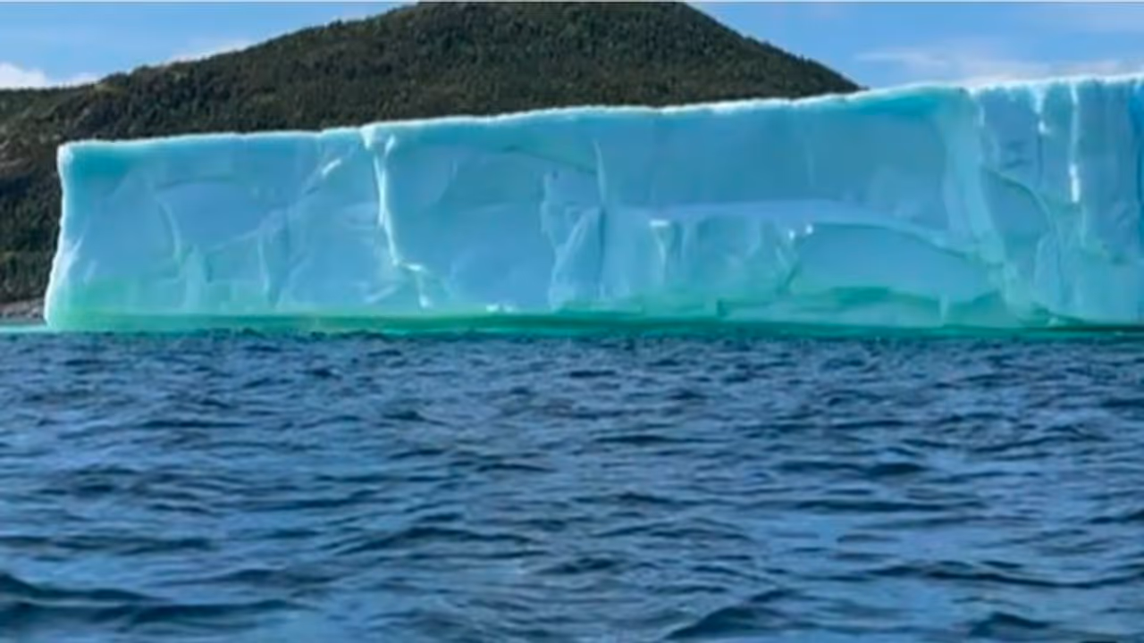 ತೀರದತ್ತ ಬರುತ್ತಿದೆ ದೈತ್ಯ ಗಾತ್ರದ ಮಂಜುಗಡ್ಡೆ: ಕ್ಯಾಮರಾದಲ್ಲಿ ಸೆರೆ ಆಯ್ತು ಅಪರೂಪದ ದೃಶ್ಯ